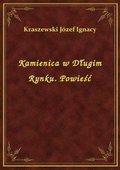 Kamienica w Długim Rynku. Powieść - ebook