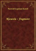 Niewola : fragment - ebook