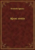 Nocni stróże - ebook