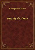 Ptaszki do słońca - ebook