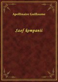 Szef kompanii - ebook