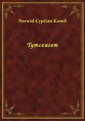 Tymczasem - ebook