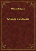 Ułudne zwidzenie - ebook