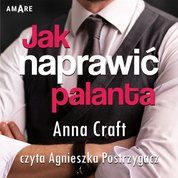 : Jak naprawić palanta. Instrukcja w 10 krokach - audiobook