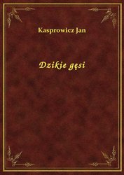 : Dzikie gęsi - ebook