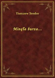 : Minęła burza... - ebook