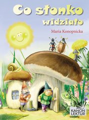 : Co słonko widziało - ebook